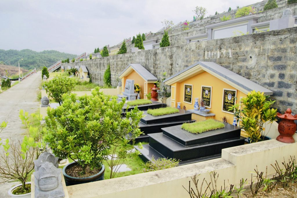 Hình ảnh giá bán đồi mộc